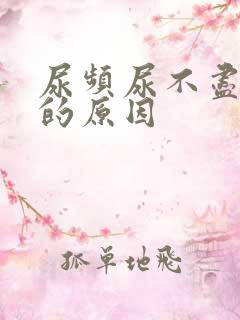 尿频尿不尽尿痛的原因