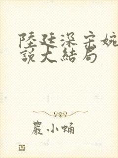 陆廷深宋婉婉小说大结局