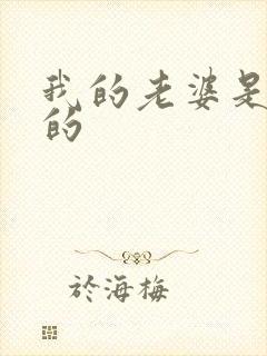 我的老婆是重生的