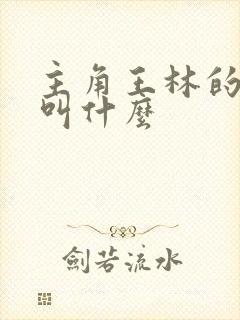 主角王林的小说叫什么