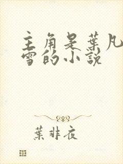 主角是叶凡唐若雪的小说