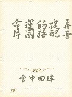 命运的捉弄译制片国语配音