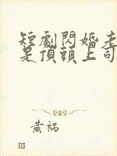 短剧闪婚老公竟是顶头上司大结局