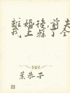 离婚后,前夫追我上瘾了全文小说