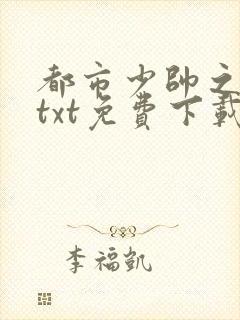 都市少帅之全本txt免费下载