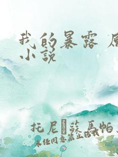 我的暴露 原著小说