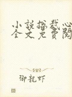 小说总裁心尖宠全文免费阅读