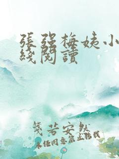 张强梅姨小说在线阅读