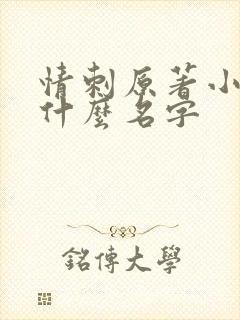 情刺原著小说叫什么名字