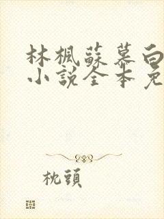 林枫苏慕白穿越小说全本免费阅读万界独尊