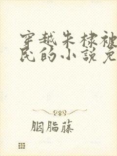 穿越朱棣被贬农民的小说免费阅读