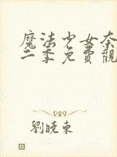 魔法少女奈叶第二季免费观看全集