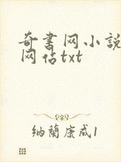 奇书网小说下载网站txt