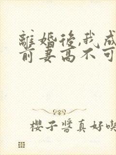 离婚后,我成了前妻高不可攀的神