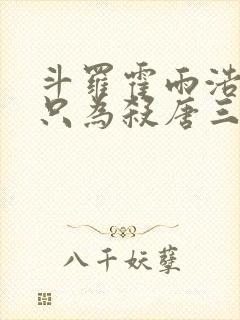 斗罗霍雨浩重生只为杀唐三