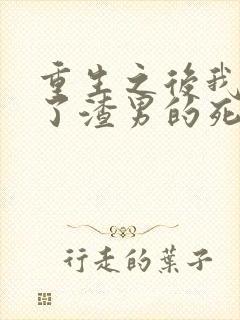 重生之后我嫁给了渣男的死对头