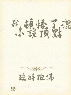 我顿悟了混沌体 小说顶点