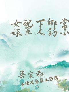 女配下乡当知青嫁军人的小说