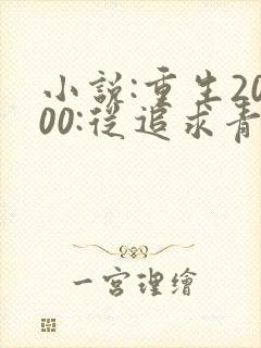 小说:重生2000:从追求青涩校花同桌开始