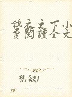 锦衣之下小说免费阅读全文无删减