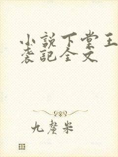小说下堂王妃逆袭记全文