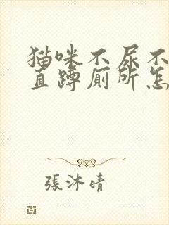 猫咪不尿不拉一直蹲厕所怎么办