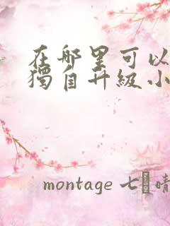 在哪里可以看我独自升级小说