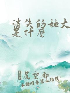 消失的她大结局是什么