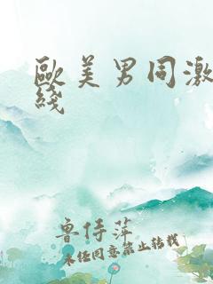 欧美男同激情在线