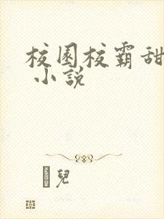 校园校霸甜宠文 小说