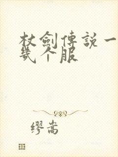 杖剑传说一天开几个服