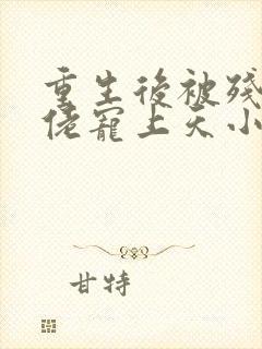 重生后被残疾大佬宠上天小说读