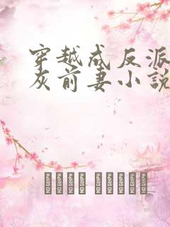 穿越成反派的炮灰前妻小说
