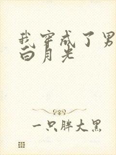 我穿成了男主的白月光