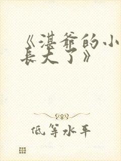 《湛爷的小妖精长大了》