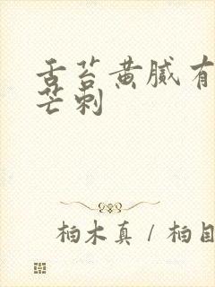 舌苔黄腻有齿痕芒刺