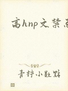 高hnp文禁忌
