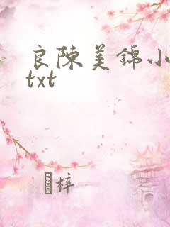良陈美锦小说.txt