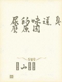 尿的味道臭是什么原因