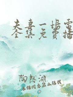 夫妻一场电视剧全集免费播放