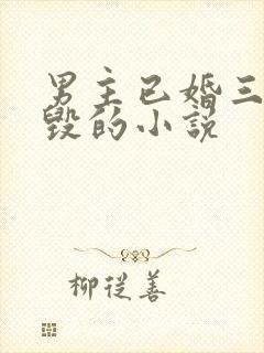 男主已婚三观尽毁的小说