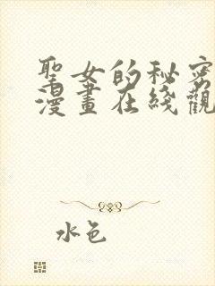 圣女的秘密之夜漫画在线观看