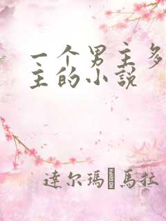 一个男主多个女主的小说