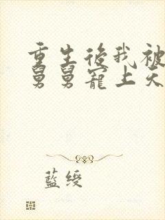 重生后我被渣男舅舅宠上天