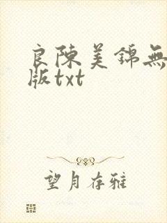 良陈美锦无删减版txt
