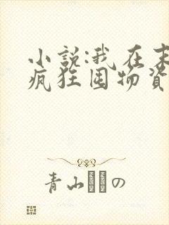 小说:我在末世疯狂囤物资