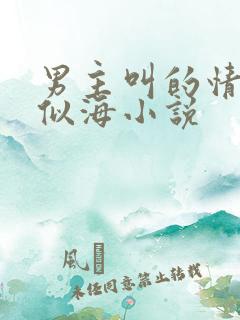 男主叫的情深不似海小说