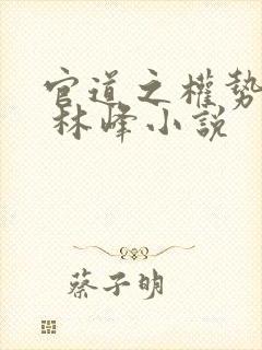 官道之权势滔天 林峰小说