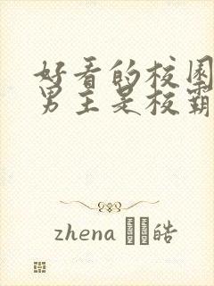 好看的校园小说男主是校霸