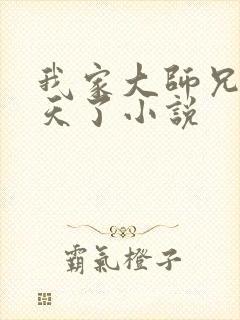 我家大师兄太逆天了小说